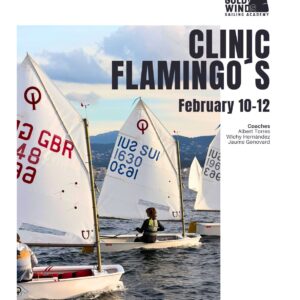 Optimist Gold Winds Flamingo's Race